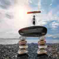 开​源​cdn方‍案‍